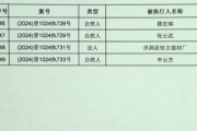 理论国产一级,引领科技创新，铸就民族品牌辉煌